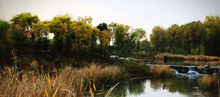 <strong>�����ຣ ��Ӱ����</strong>