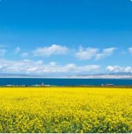 ��H5������ӛ�����R�~�c(di��n)ٝ�ຣ��