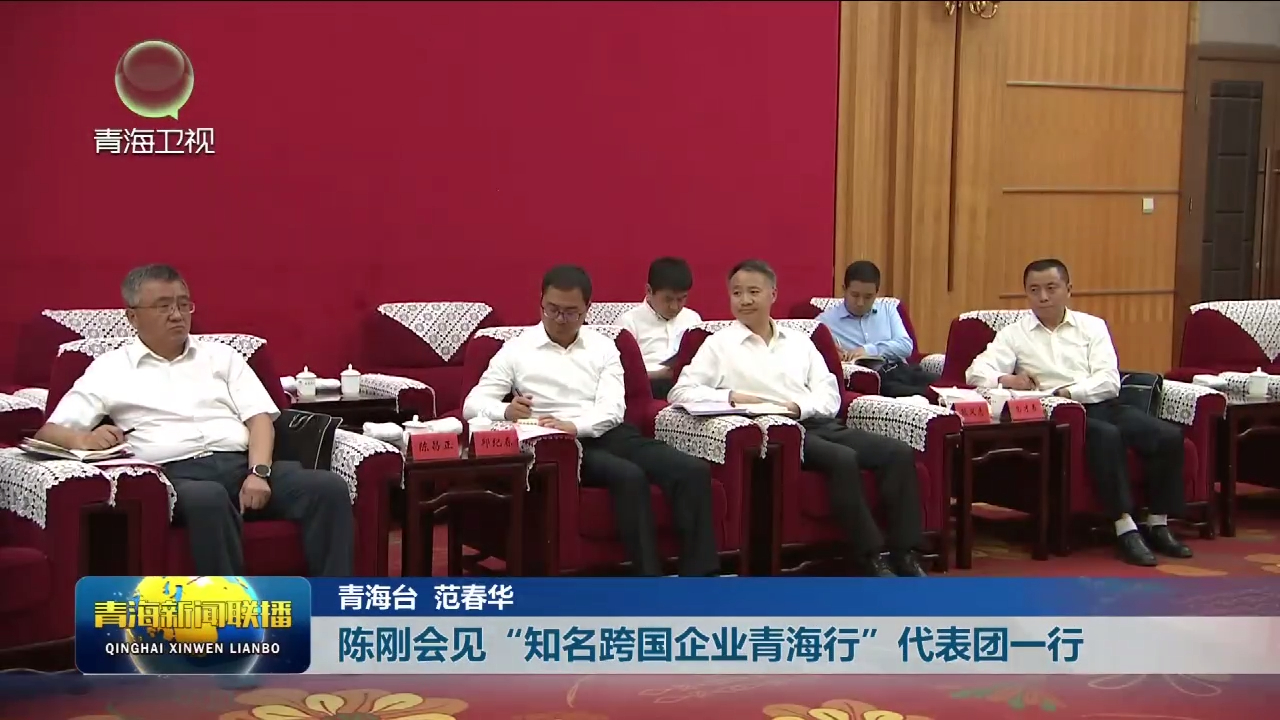 陳剛會(huì)見(jiàn)“知名跨國(guó)企業(yè)青海行”代表團(tuán)一行