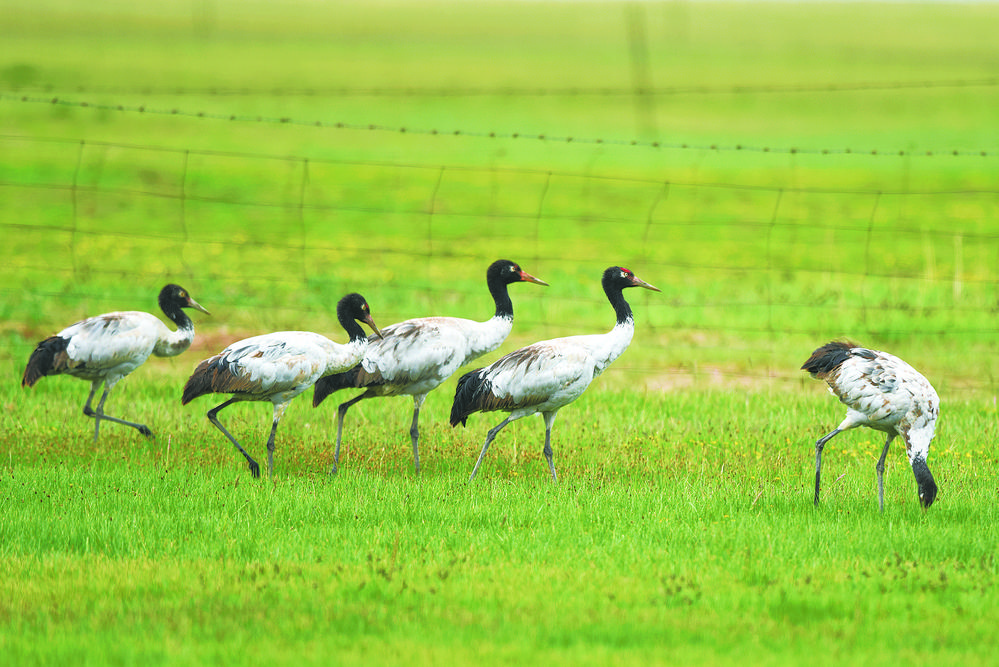 ���Ϭ��� ���`����