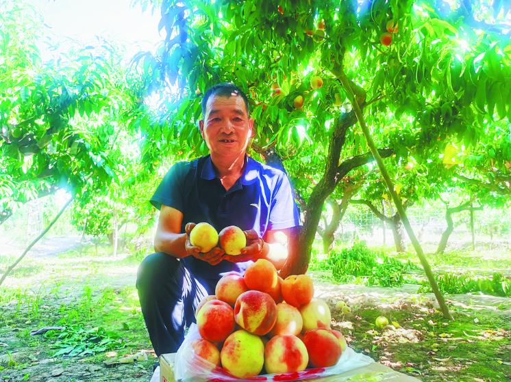 ���|���һ�Դ����������