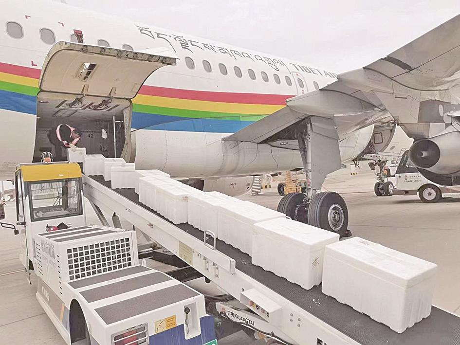 24С�r�ȣ����_ľ����r�_ȫ��