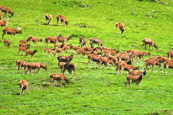 �����M����Դ���ҹ��@��Ұ������Դ