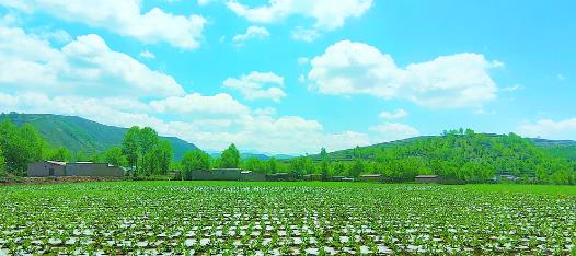 �����O�ɵ����Ė|�ϘӰ塪�������h�|���l���_��Ҋ