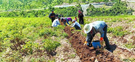 ���l�����d��������������g�á��S�����������l���� �����d��ϵ�Ј��