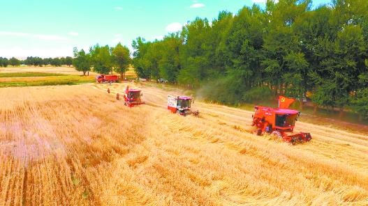 ���ա��S������