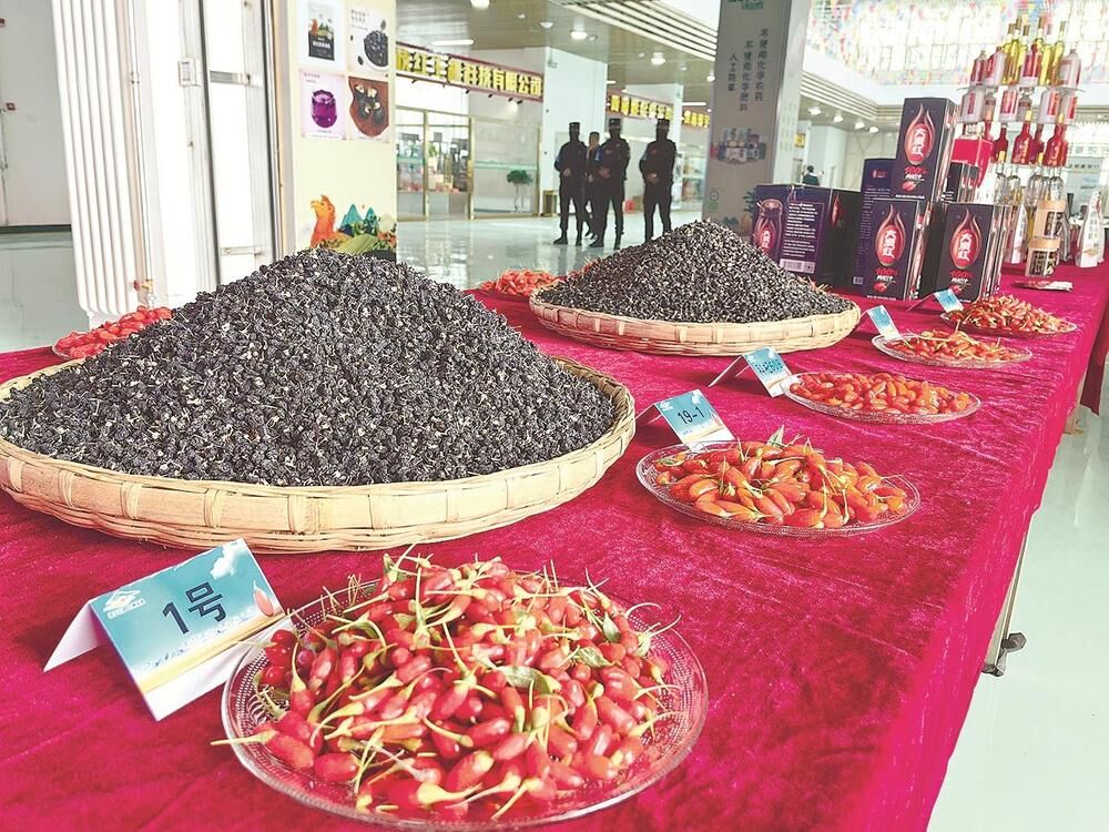 都蘭處處好豐景