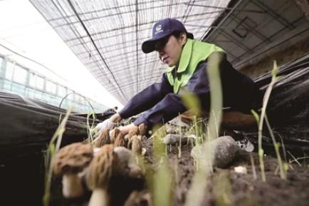 ȫ��ʾ����������һ�ҽ펽ʾ�������ϰ�