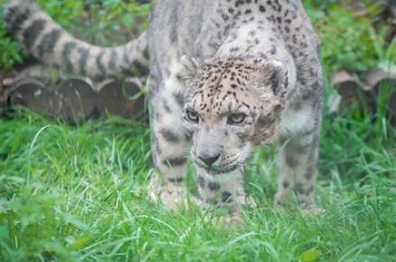 �@Щ�����ѡ���Ҫ�҂����ĺ��o