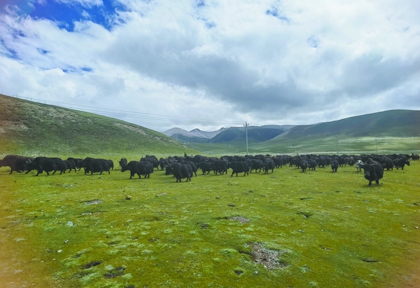 ����мӘ�壺�����d�ຣ��·��