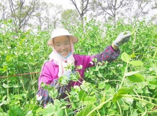 �ຣ��Դ��Ԫɽ��400�����m��ӭ�����S��