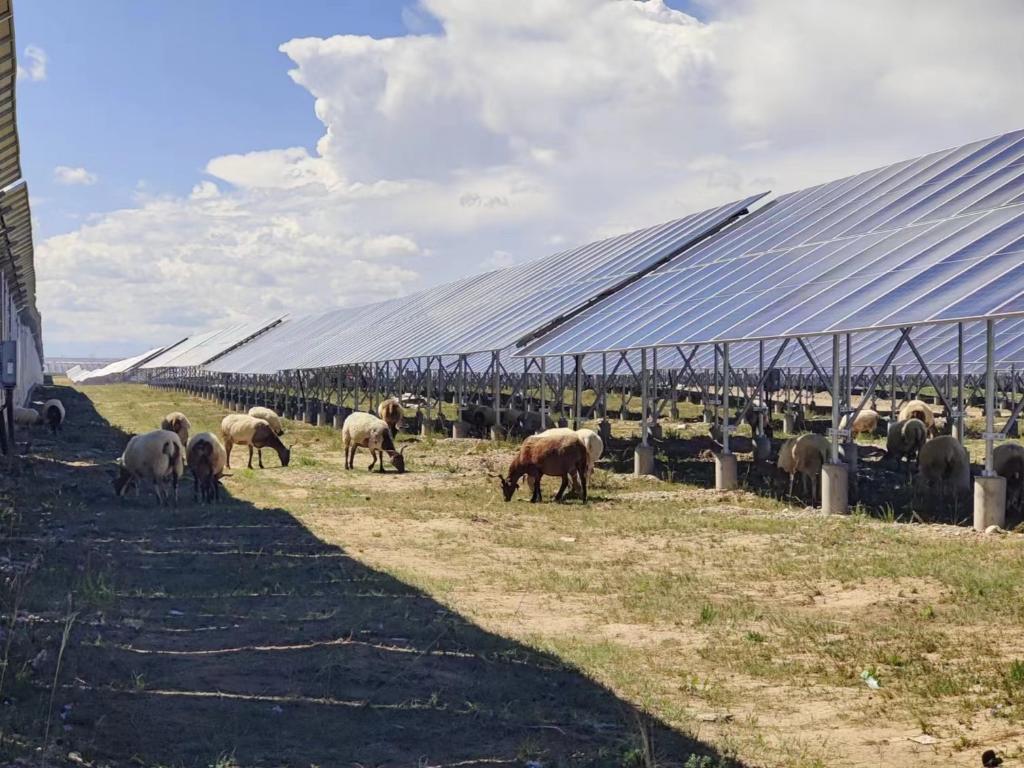 新時代中國調研行·黃河篇丨黃河上游好“風光”——青海加快清潔能源發展見聞