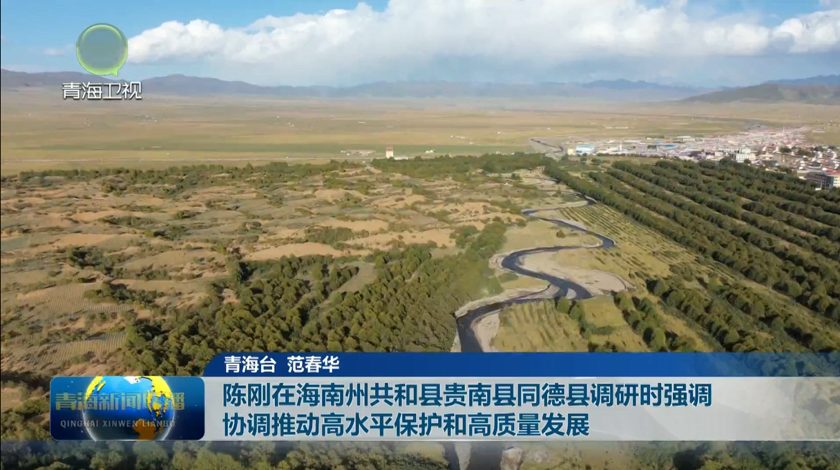 陳剛在海南州共和縣貴南縣同德縣調研時強調 協調推動高水平保護和高質量發展