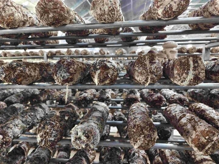 ���о����a�I���^�����٘s