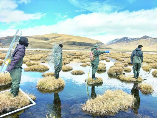 �Ðۓ�����i�Q�ļ�