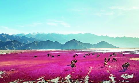 ���r�� ������ ���I(y��)��ɳ�C�C���߳�һ�������B(t��i)�G�ޡ��������m�h����������������B(t��i)�������O(sh��)ʾ���^(q��)�o��