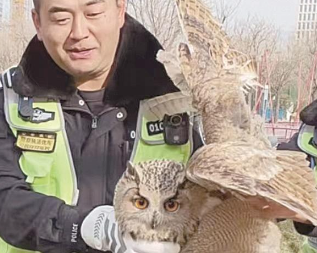 һֻ���^���� ���������T��������