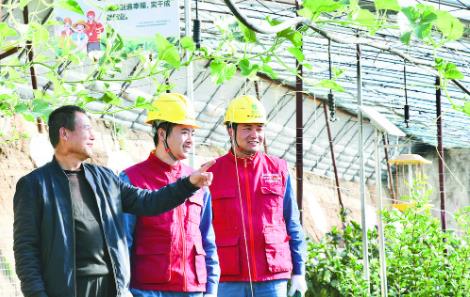 電力服務進大棚 守護市民“菜籃子”