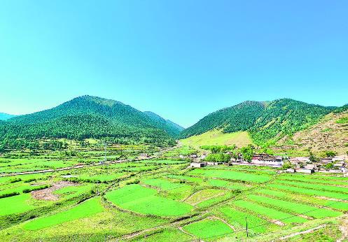 ������������Ӵ�׃�ֵ� �������ջݵ���������