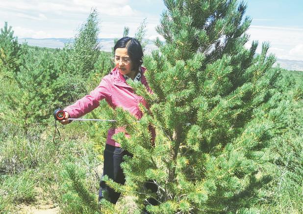 ���r�� ������ ���I(y��)���Ƅӻ�Į������ �������B(t��i)��ȫ���ϡ���ɳĮ���G���ٿ඼ֵ�ˣ�������ӛȫ����ɳ��ɳ���M����ʯ�s