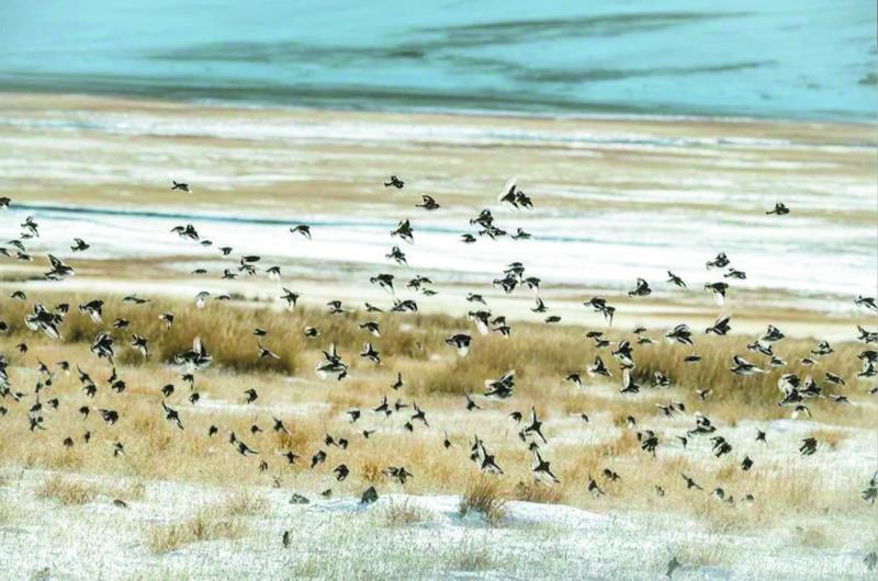 ���������B�h�����졤���ᾀ�����B������ �h��ӳ����