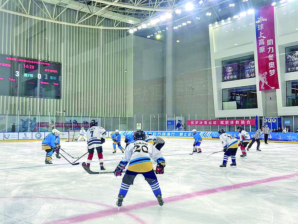 �ຣʡ�ڶ��ñ�ѩ�\�ӕ����ϸ��Ŀ��ِ�չ�