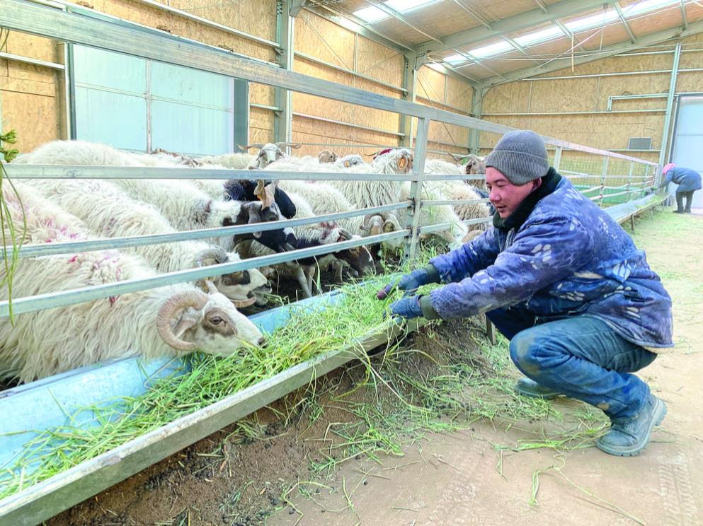 ���ͣ����㡰�ڼZ�������^��ů����