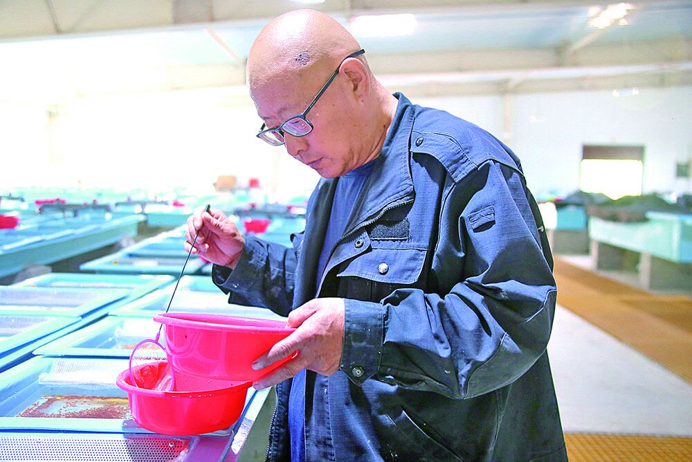 ���W˼�� ���h�� �،��` ���¹����k���� ����n��������患��A���k�������Ľ��y�}