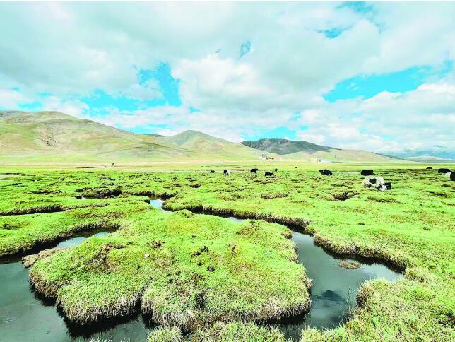 �ຣ�Ո�݋���u��2023���ຣʡʮ����