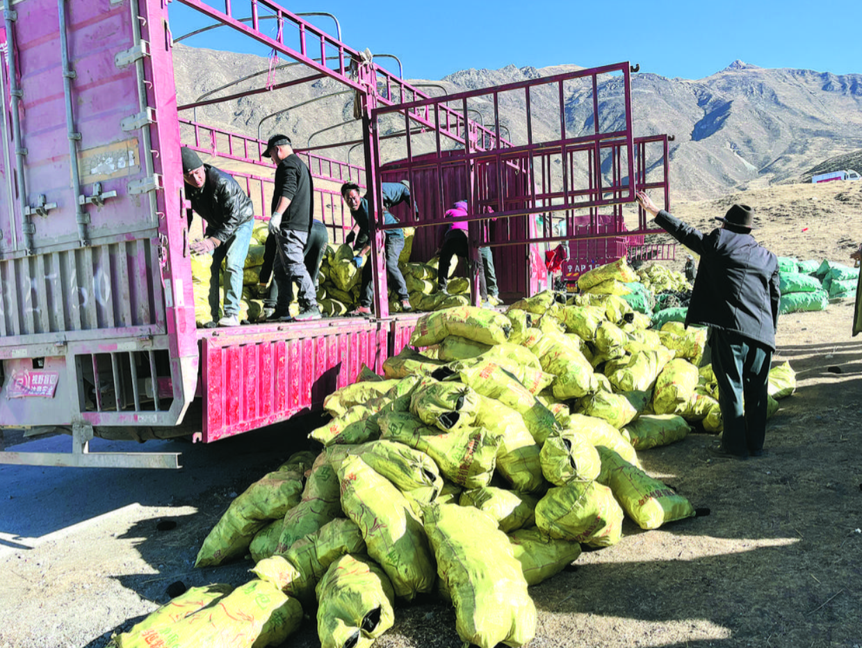 ����־�ɳ� ����Ȟġ������ľo�o����