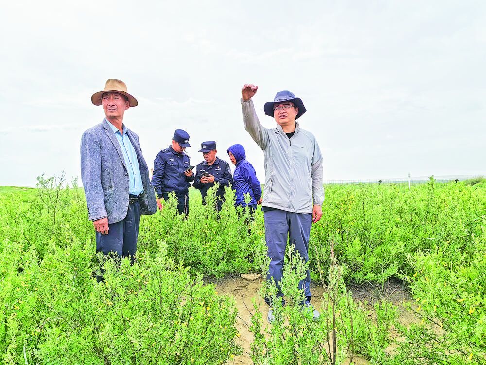 ���r�� ������ ���I���Ƅӻ�Į������ �������B��ȫ���ϡ�һ�ݳ��Z �����غ򡪡�ӛȫ����ɳ��ɳ���M�����wѩ��