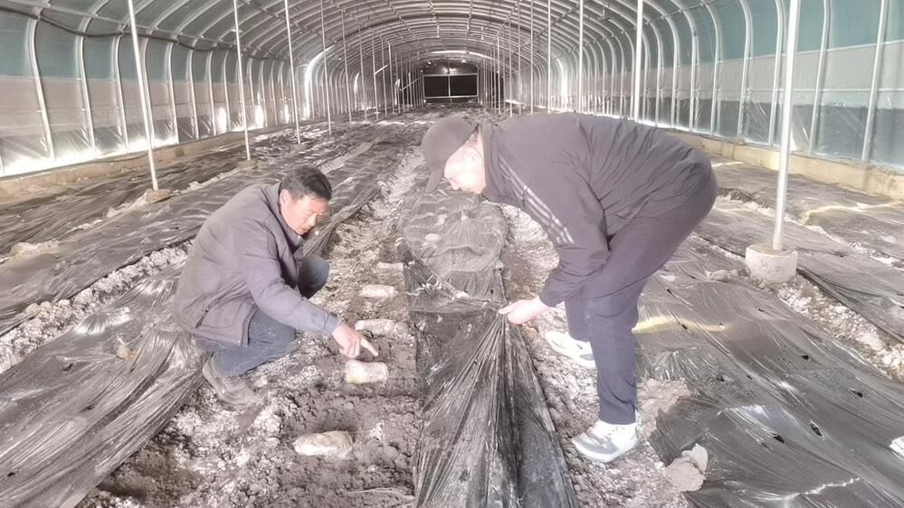 ���l�����d���ຣ��38.7�fԪ��Ⱥ���l�״ηּt