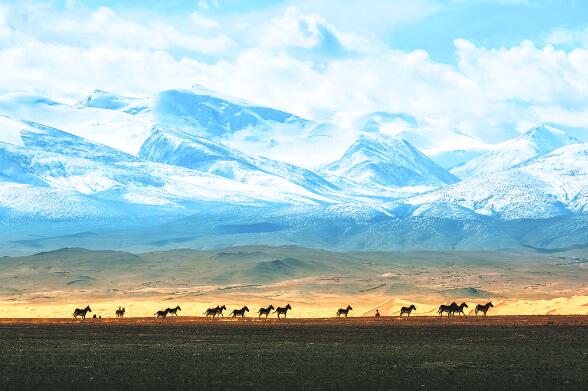 牢記囑托,高地打造展現新作為