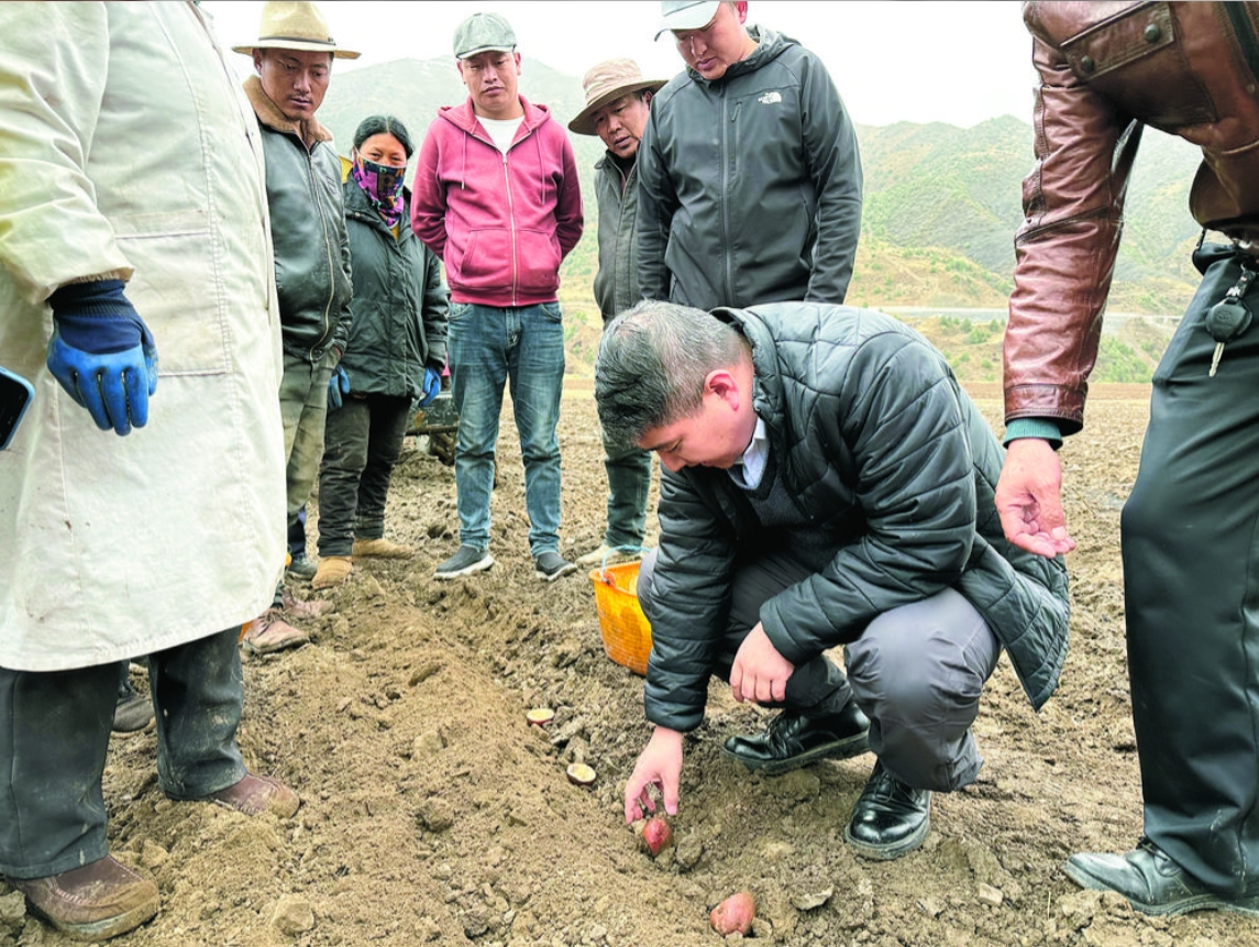 【回眸2023】把汗水灑在田野里