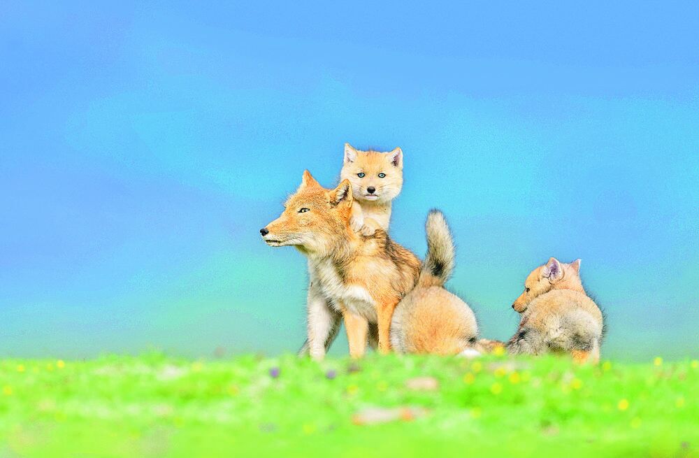 �ຣ�����Y��Ȼ����������҈@