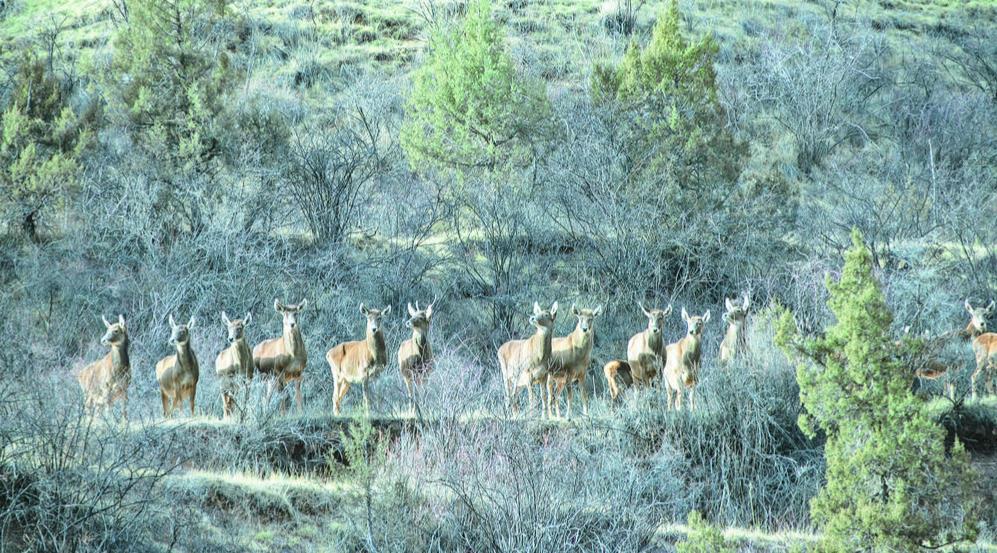 �����ˡ��״�¹