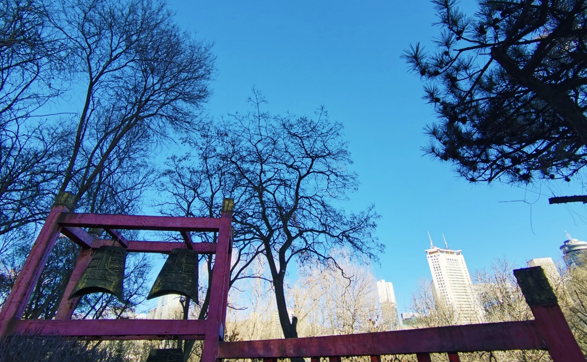 �������g�������{���ٴ�ˢ��