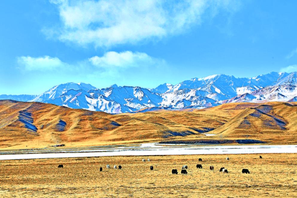 【筑夢現代化 共繪新圖景·兩會特刊·連線北京】守護“中華水塔” 打造生態文明新高地