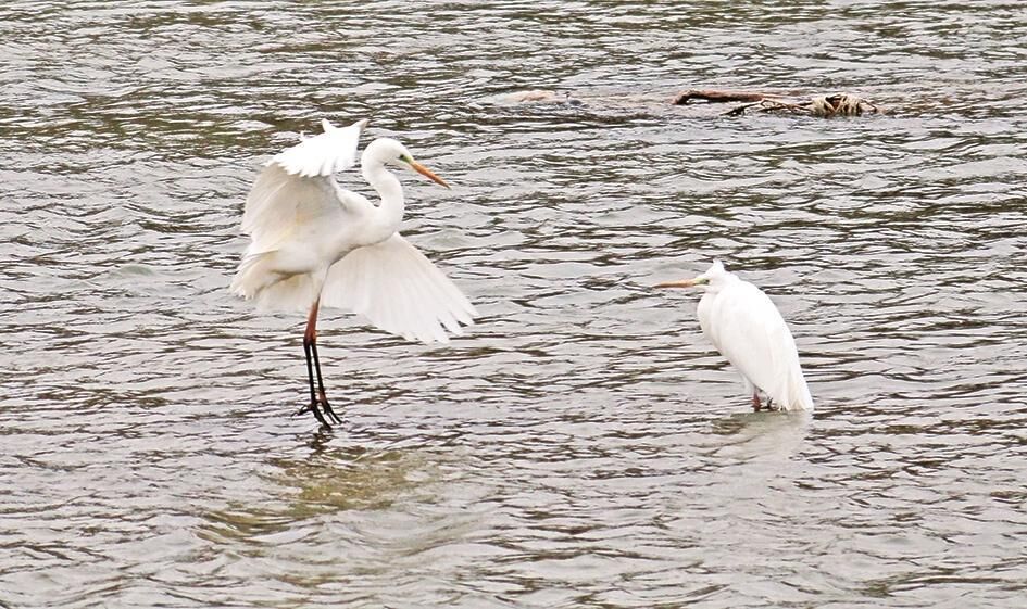 ��N�����w��ˮ�B�w������