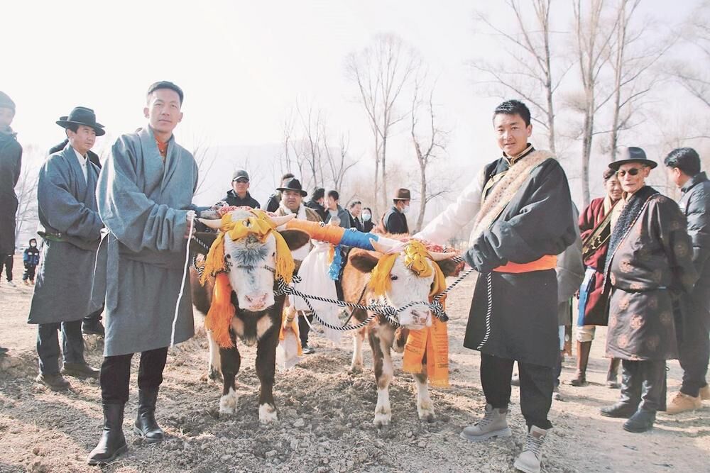 �F�¿h��������_����