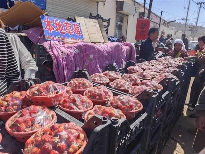 ����[���t�X����¶�ُ(g��u)�N����