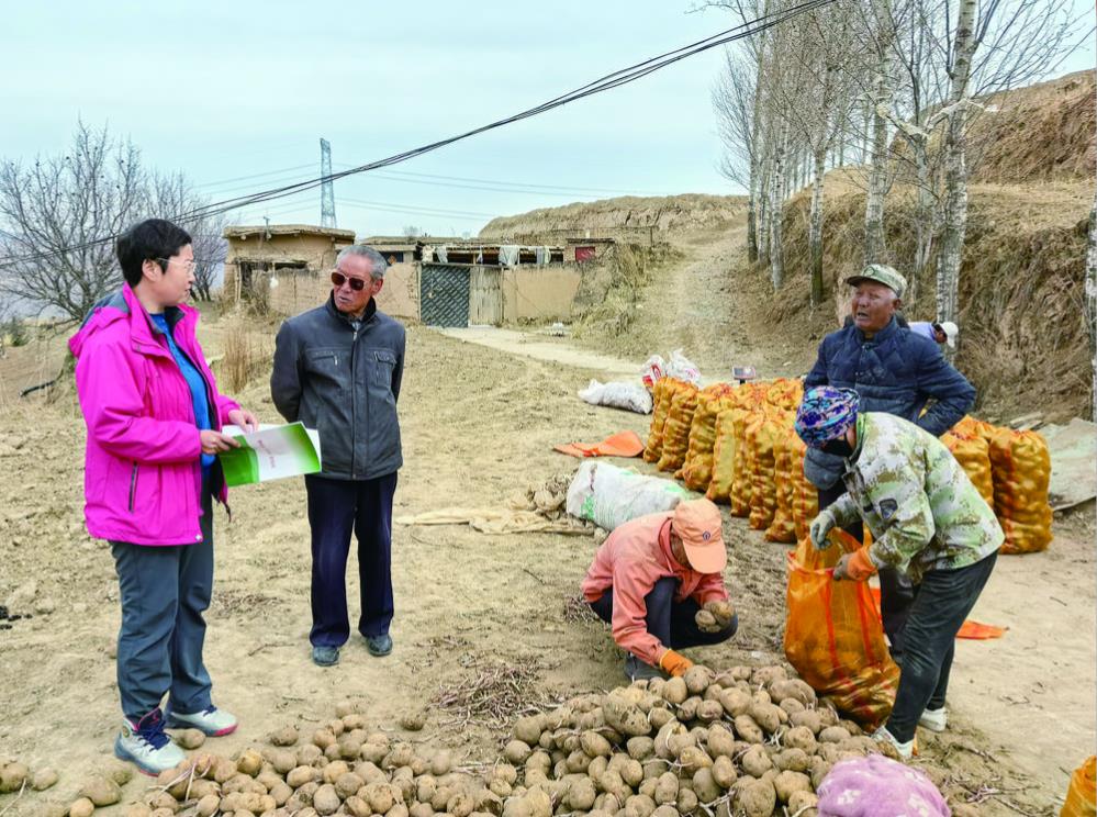 ��һ̖(h��o)�ļ���̤���� �l(xi��ng)�����崺�L(f��ng)