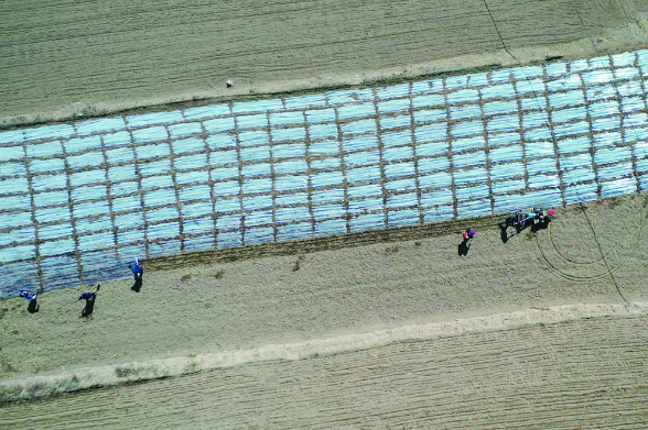 �ຣ���������������M