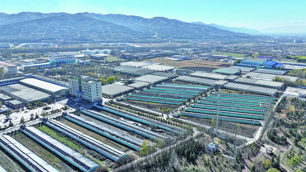 QQ�DƬ20240320061025