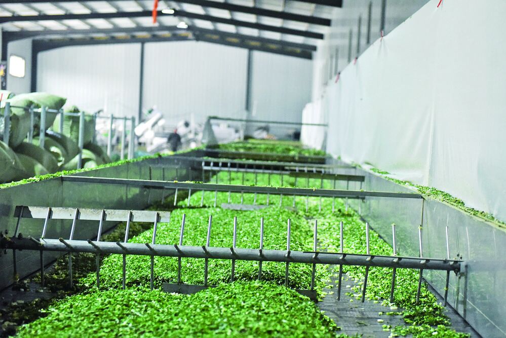 QQ�DƬ20240320061039