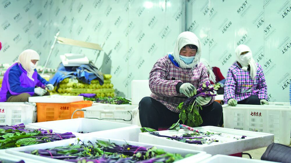 QQ�DƬ20240320061051