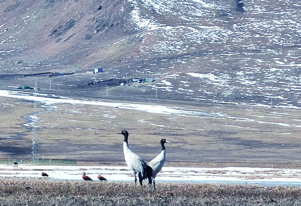 ���¡�����������i�Q����s������