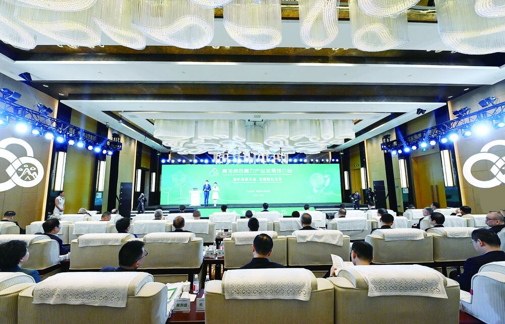 ���o(h��)��ԭ���B(t��i) �l(f��)չ�Gɫδ�� �ຣ�Gɫ�����a(ch��n)�I(y��)�l(f��)չ�ƽ���ھ��e�� ꐄ����Һ����o �Ǖ�܊���ƽ�