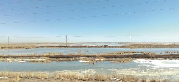 �����M������lչ��������ã���˵ľGɫ����