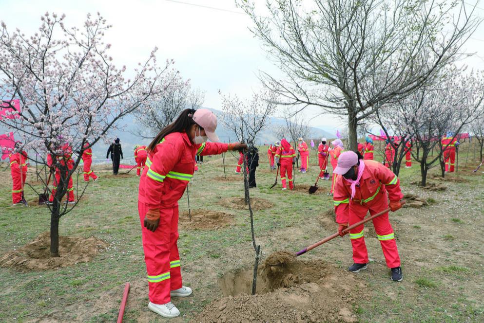 �ຣ��ͣ���65�f(w��n)����ľ�GȾ����